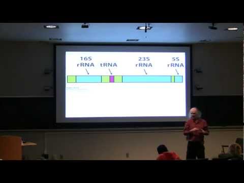 #54 Biochemistry Review Session for the Final Exam for Kevin Ahern's BB 451/551