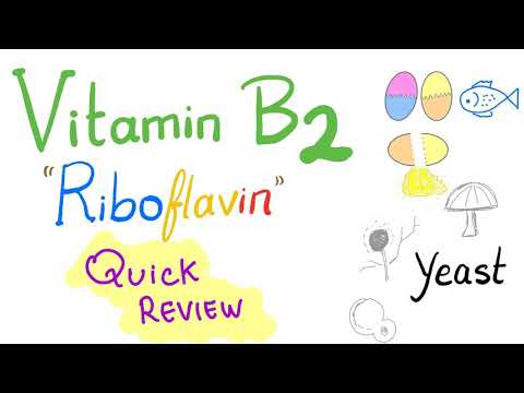 Vitamin B2 (Riboflavin) - Quick Review