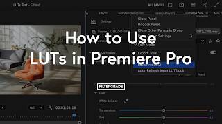 How to Use LUTs in Adobe Premiere Pro