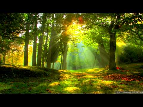 Dracovallis, Claudie Mackula and Tartalo Music - Elysian Forest (Celtic Rock Ballad)