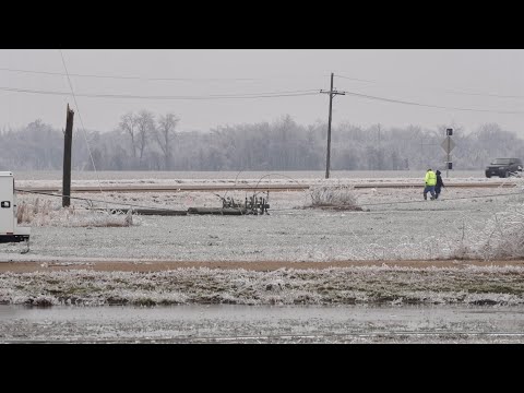 02-02-2023 Lake Cormorant, MS - Poles Snapped - Sheets Fly off Cars - Trees Uprooted - Semi Rolled