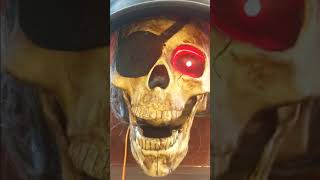 Animated Pirate Singing Skull Ain't Got No Body Halloween Decoration