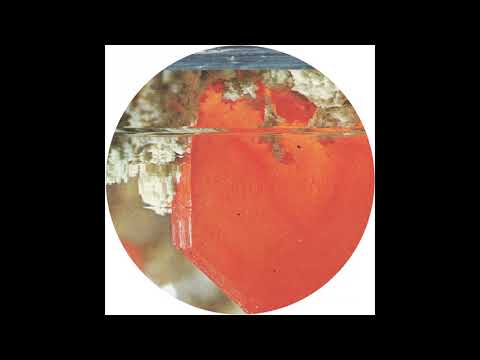 Hadone - How To Fake Success [TPN011]