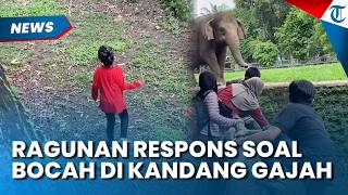VIRAL BOCAH JATUH di Kandang Gajah Ragunan, Humas Duga untuk Konten