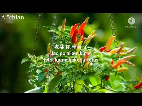 老婆 你 辛苦 了 lao po ni xin ku le (Istri, kamu bekerja keras)