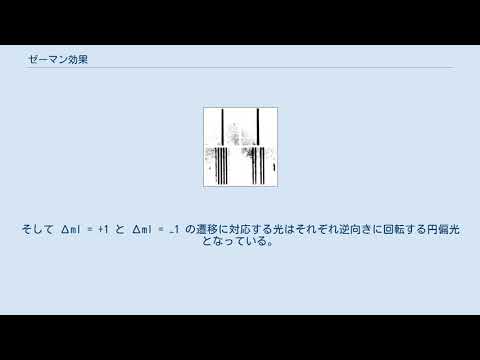 ピーテル・ゼーマンについて詳しく解説