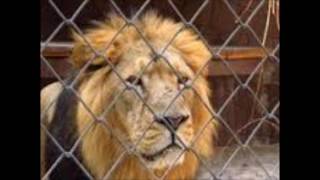 Roland Kaiser - Ein König weint