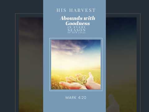 #God #seasons #harvest #abundance #promises #prayer #blessings  Mark 4:20