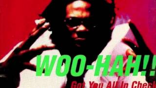 Busta Rhymes - Woo Hah!! (Got You All In Check) (Adam Kay Remix)