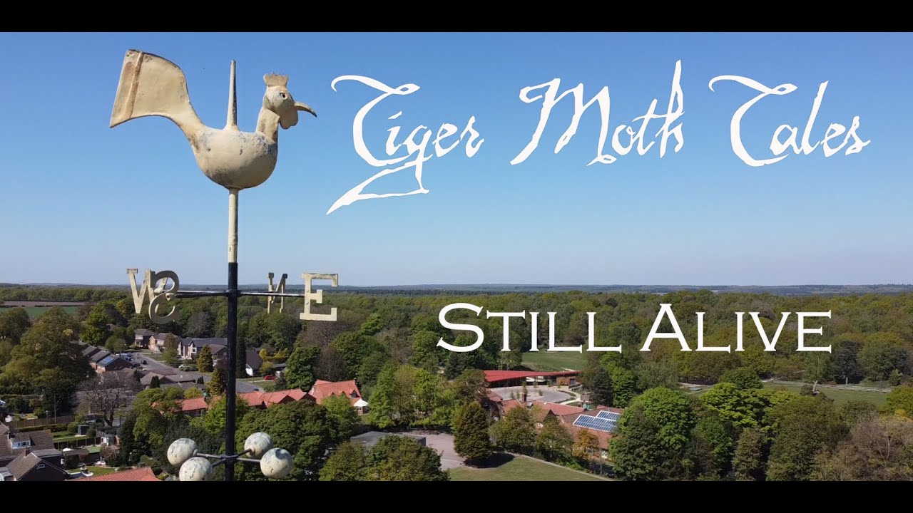 Tiger Moth Tales - Still Alive - YouTube