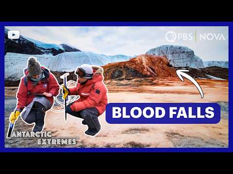 The Strange Reason This Glacier Bleeds Red | NOVA PBS