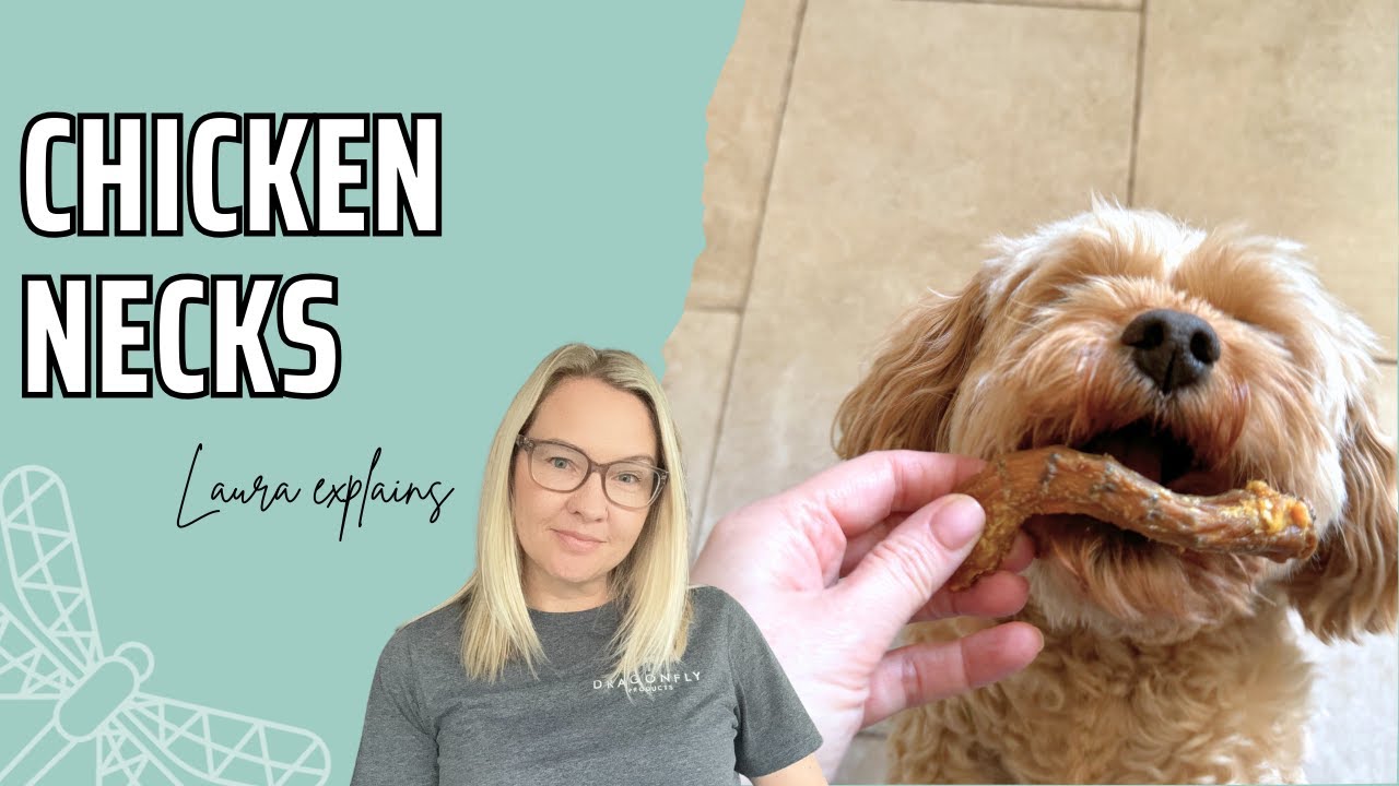 The Benefits of Chicken Necks for Dogs | Video