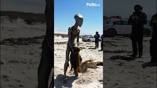 part134:mysterious  Alien First Contact | Stunning Sci-Fi Animation