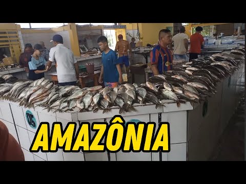 VIDA REAL DOS RIBEIRINHOS NO INTERIOR DA AMAZÔNIA/ UARINI-AMAZONAS 