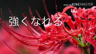 紅蓮華 歌ってみました！