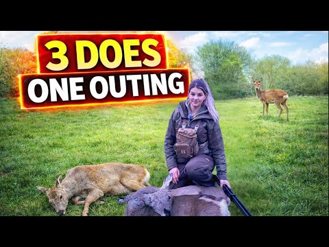 3 Roe Does In One Stalk | Deer Stalking | Hunting | Deer Management
