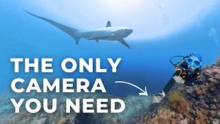 Why scuba divers need a 360° degree camera?