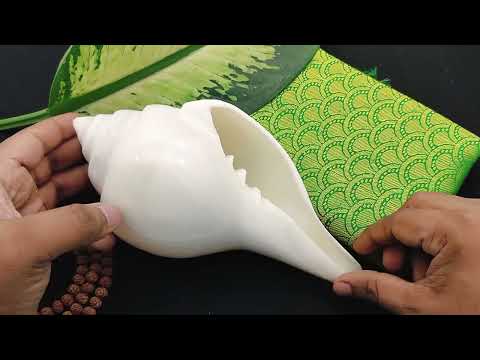 Holy Water Milk Jal Abhishek shankh for Ritual Bathing of Deities - 9 inches video