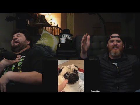 memes, hehe - @MemerMan | RENEGADES REACT TO