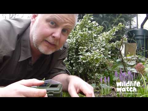Using a trail cam with Wildlife Gadget Man
