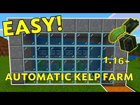 Sirius Bluu - EASIEST Automatic Kelp Farm Tutorial: Minecraft 1.16+