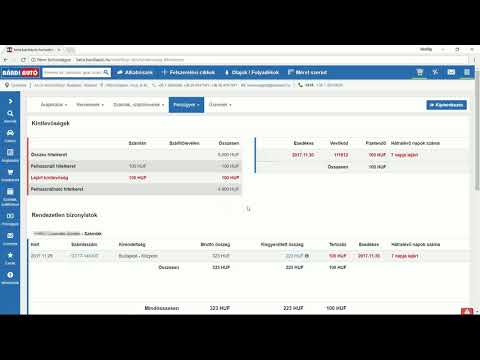 Bárdi Autó webshop - pénzügyi modul