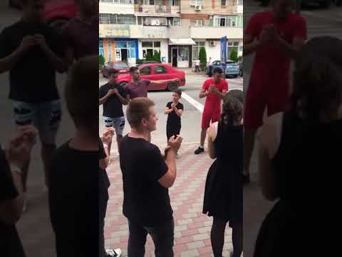 Pamporea -DOINA BASCOVULUI