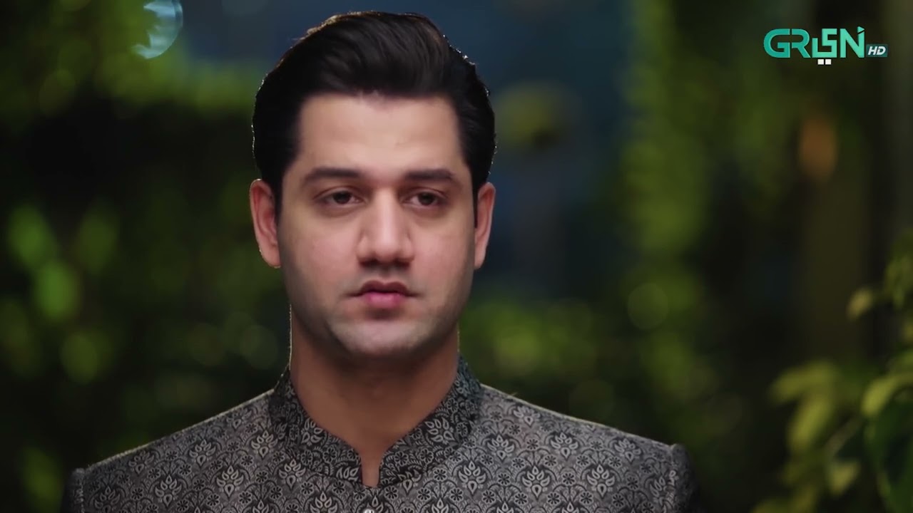 Aik Bhool Episode 78 | Best Scene 02 | Green TV Entertainment