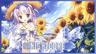 Nightcore - Boogie 2nite [Booty Luv]