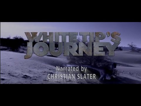 Dinosaur Planet: White Tip's Journey