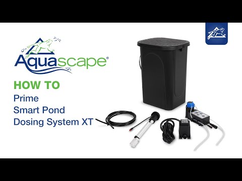 How to Prime the Smart Pond Dosing System XT