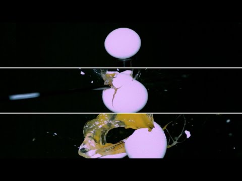 Arrow explodes eggs in slow motion 🏹🥚