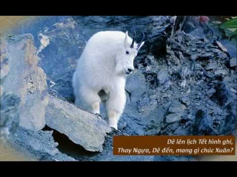 Thơ XUÂN VỀ DÊ ƠI...Nhạc XUÂN CAO NGUYÊN - TếtẤtMùi 2015