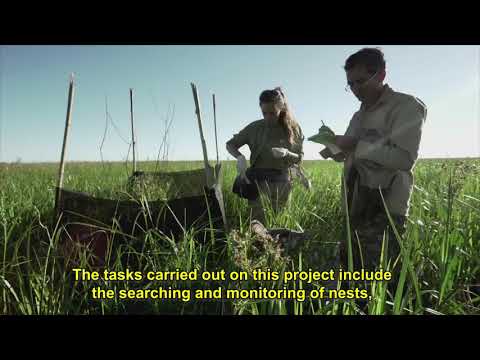 El trabajo de Toyota y Aves Argentinas