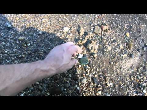 Metal detecting 2015, silver and a cool fob from 1909