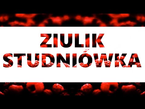 ZIULIK - STUDNIÓWKA (Official Lyric Video)