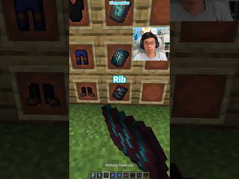 Minecraft Invincible Armor Trim (Feel It)