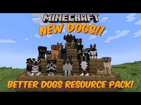 Jayfrey - Minecraft New Dogs!! (Better Dogs Resource Pack 1.20+)