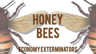 Honey bees? We love them too... here's more info