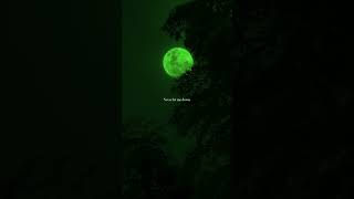 Download lagu DJ Snake, Justin Bieber - Let Me Love You (Lyrics) | Say go through the darkest of days | Aesthetic mp3