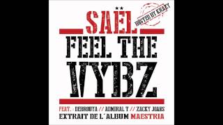 Saël - Feel The Vybz (Feat. Debrouya, Admiral T & Zacky Joans) [Hosted By Krazy] - Nov 2013