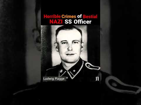 Ludwig Plagge - Sadistic Nazi Officer at Auschwitz Concentration Camp #shorts #ww2 #nazigermany