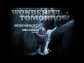 Wonderful Tomorrow (with Lyrics) by Dieter ...
