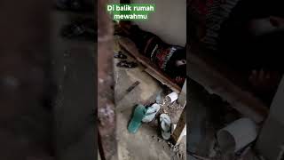 Download lagu perjuangan seorang kuli bangunan di saat hujan turun mp3