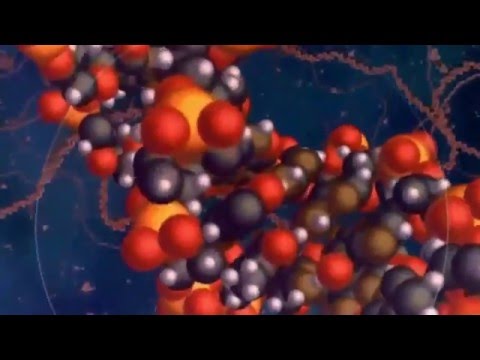 Best Of Seta 2015 Mix