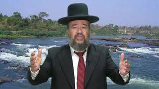 פרשת כי תצא – כיצד לא נידבק בקורונה