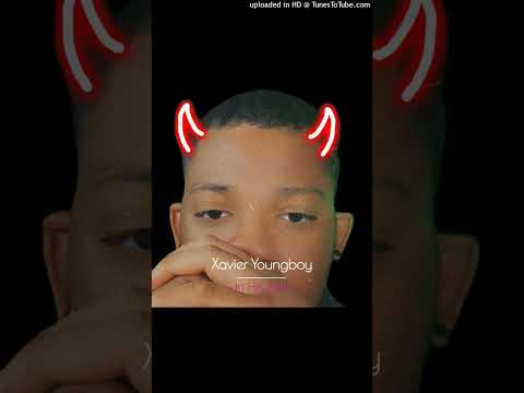 Xavier Youngboy - In Ha Mood Gay Remix [Official Audio]