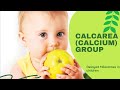 CALCAREA CALCIUM GROUP GROUP STUDY IN HOMOEOPATHY