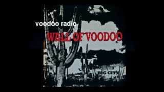 Wall of Voodoo -- Big City (7-inch single version)