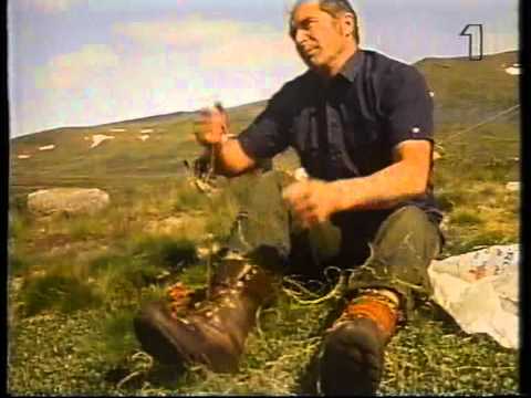 En renskötares vardag.mpg